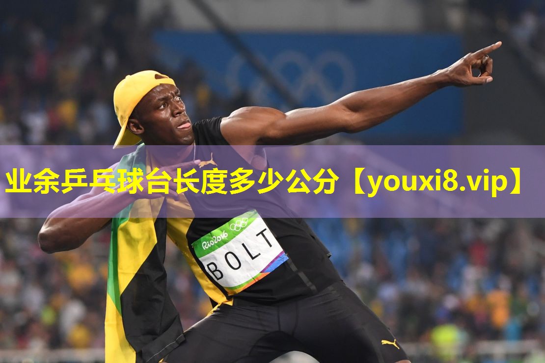 业余乒乓球台长度多少公分