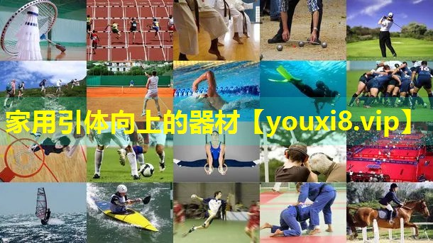 家用引体向上的器材