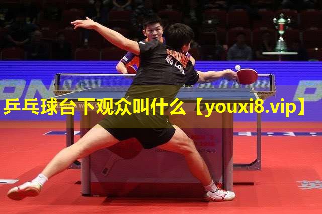乒乓球台下观众叫什么