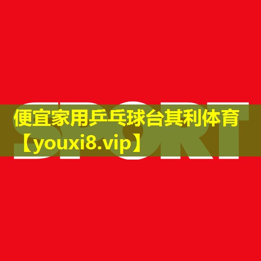 便宜家用乒乓球台其利体育