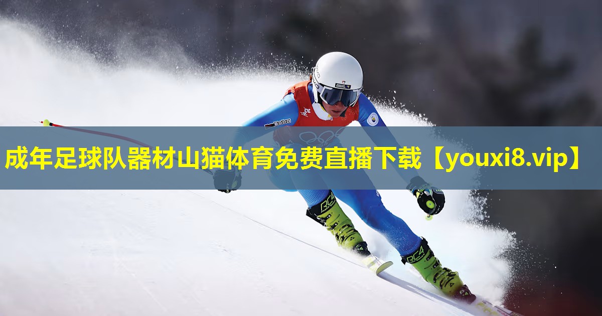 成年足球队器材山猫体育免费直播下载