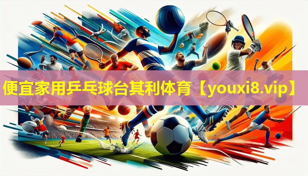 便宜家用乒乓球台其利体育