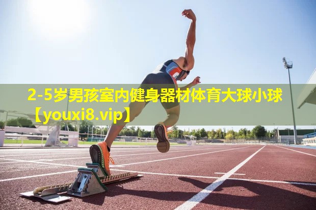 2-5岁男孩室内健身器材体育大球小球