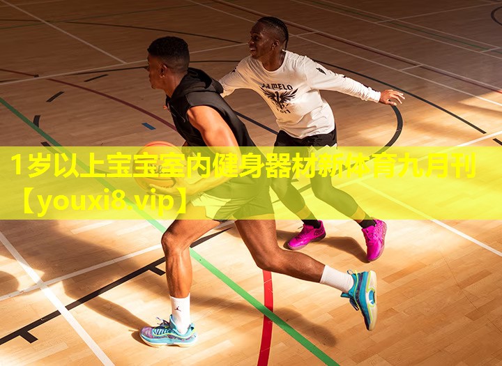 1岁以上宝宝室内健身器材新体育九月刊