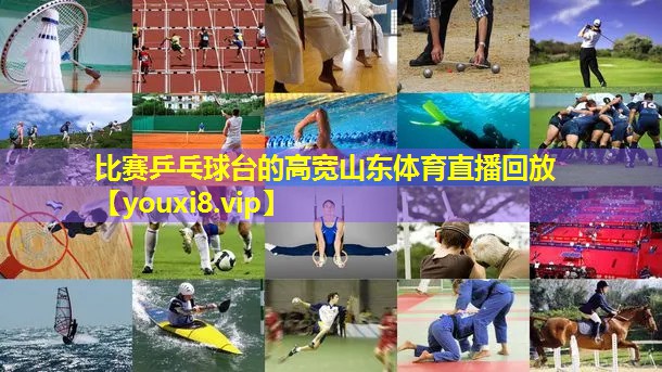 比赛乒乓球台的高宽山东体育直播回放