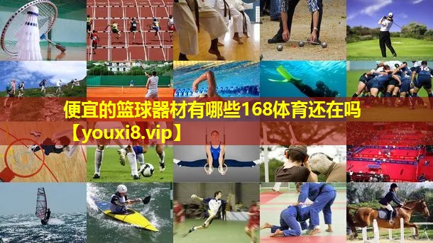 便宜的篮球器材有哪些168体育还在吗