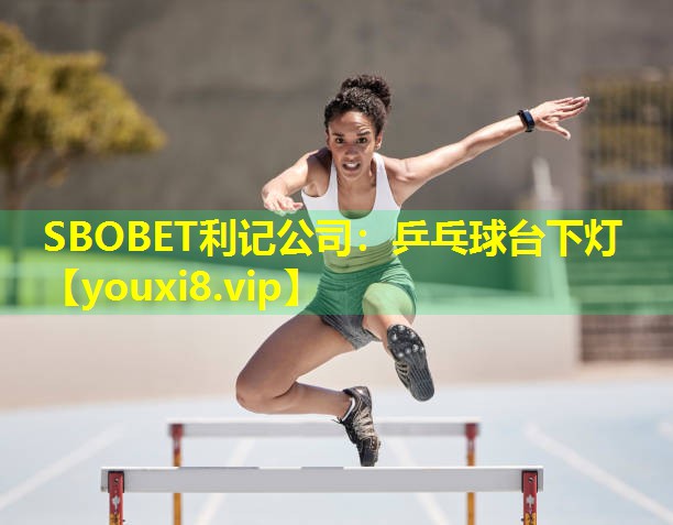 乒乓球台下灯 乒乓球台下灯