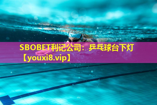 乒乓球台下灯 乒乓球台下灯
