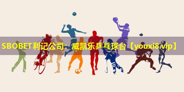 威凯乐乒乓球台 威凯乐乒乓球台