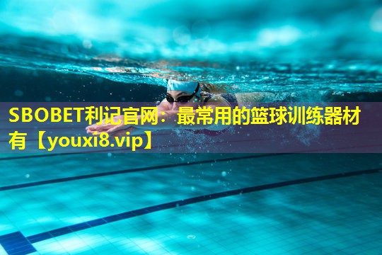 最常用的篮球训练器材有 最常用的篮球训练器材有