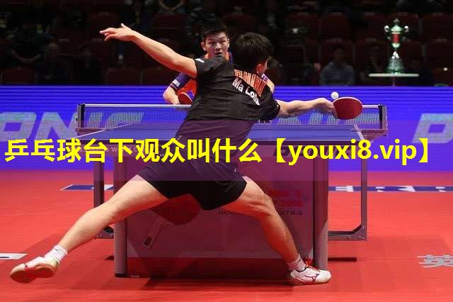 乒乓球台下观众叫什么 乒乓球台下观众叫什么