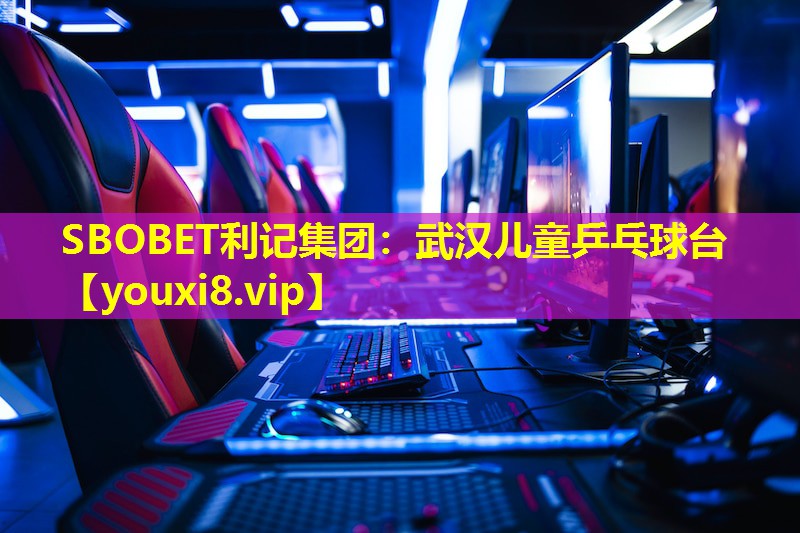 武汉儿童乒乓球台 武汉儿童乒乓球台