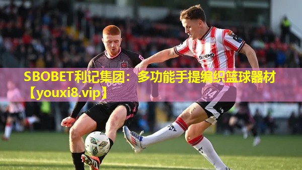 多功能手提编织篮球器材 多功能手提编织篮球器材