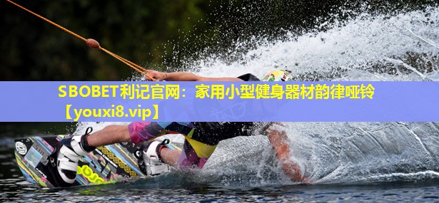 家用小型健身器材韵律哑铃 家用小型健身器材韵律哑铃