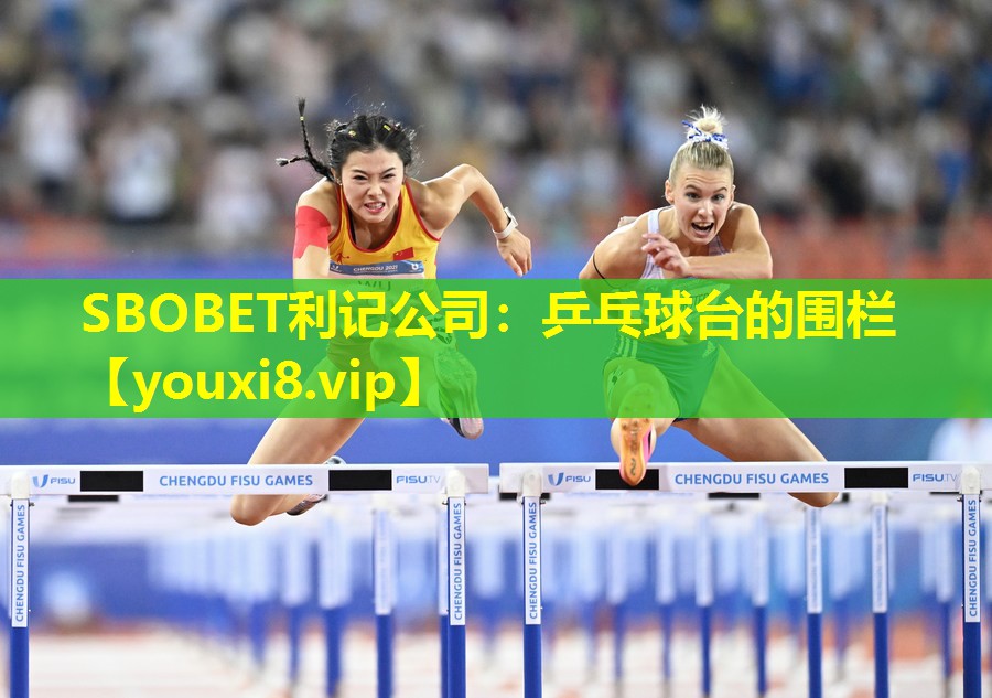 乒乓球台的围栏 乒乓球台的围栏