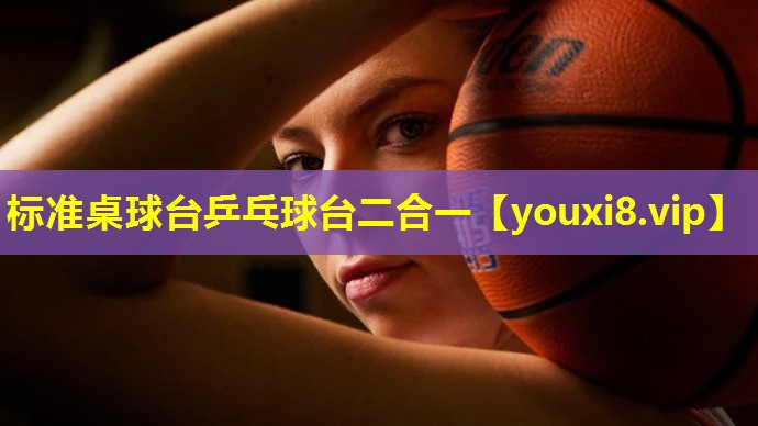 标准桌球台乒乓球台二合一