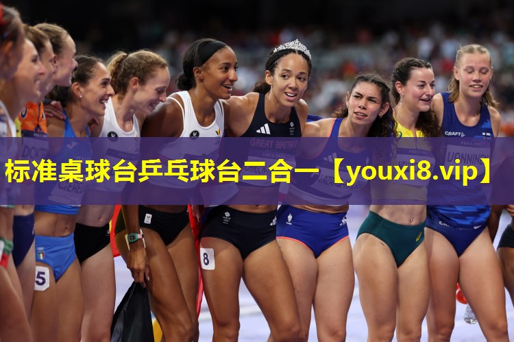 标准桌球台乒乓球台二合一